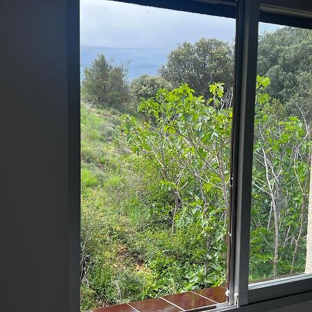Apartaments La Pertusa 2O Corca  エクステリア 写真
