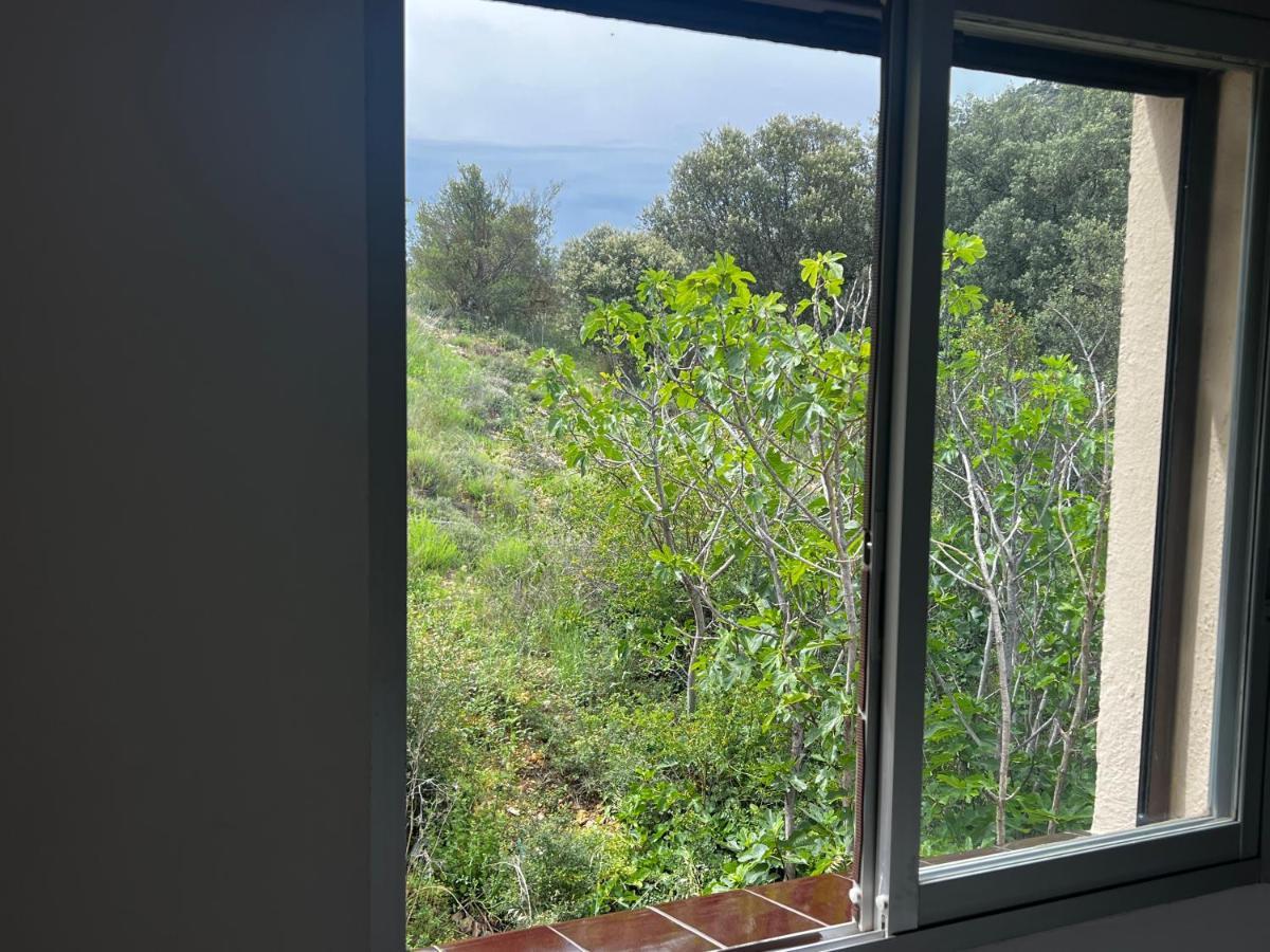 Apartaments La Pertusa 2O Corca  エクステリア 写真